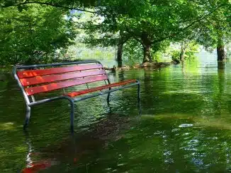 Rote Parkbank steht im Hochwasser umgeben von Bäumen.