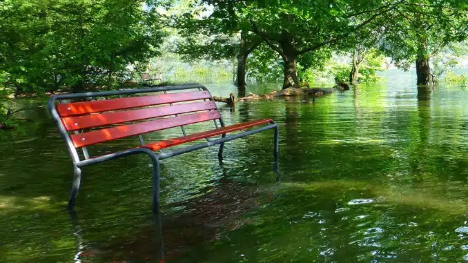 Rote Parkbank steht im Hochwasser umgeben von Bäumen.