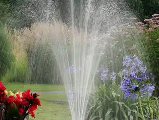 Garten grün mit roten und lilafarbenen Blumen. In der Mitte eine Wasserbewässerung.