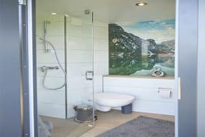 Privatbad von innen., mit Dusche und Toilette und einem großen Bild und Beleuchtung.