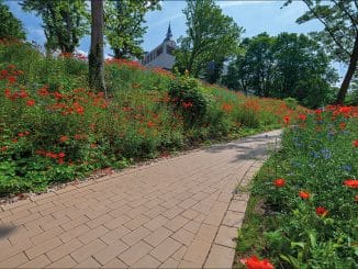 Gepflasterter Weg mit Natursteinen im naturnahen Garten.