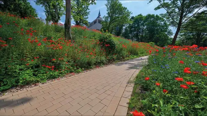 Naturnaher Garten KANN Gepflasterter Weg mit Natursteinen im naturnahen Garten.