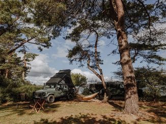 Auto und Hängematte unter Bäumen am Stran in Rügen, auf dem Campingplatz Wildwood.