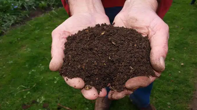 Mehr Biodiversität auf dem Campingplatz. Hand hält Erde.