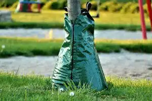 Bewässerung eines Baumes mit einem Wassersack voll Wasser für tiefe Bewässerung.