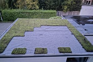 Dachbegrünung während der Durchführung mit dem DIY-Gründachbox von Heygrün.