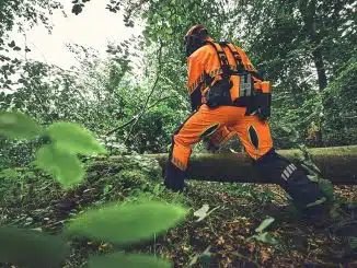 Mann im Wald mit orangener Schutzkleidung von Stihl.