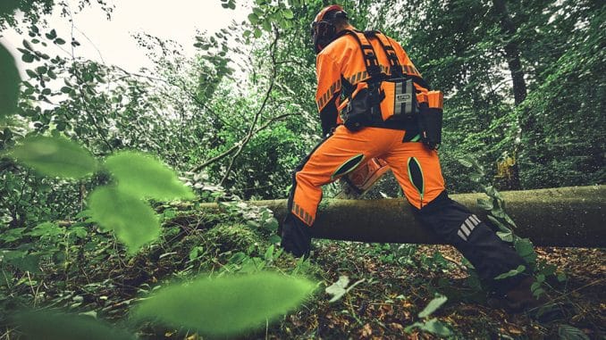 Mann im Wald mit orangener Schutzkleidung von Stihl.